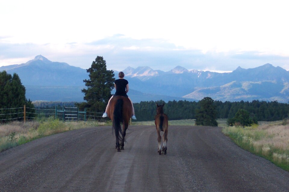 Mountains pagosa springs colorado