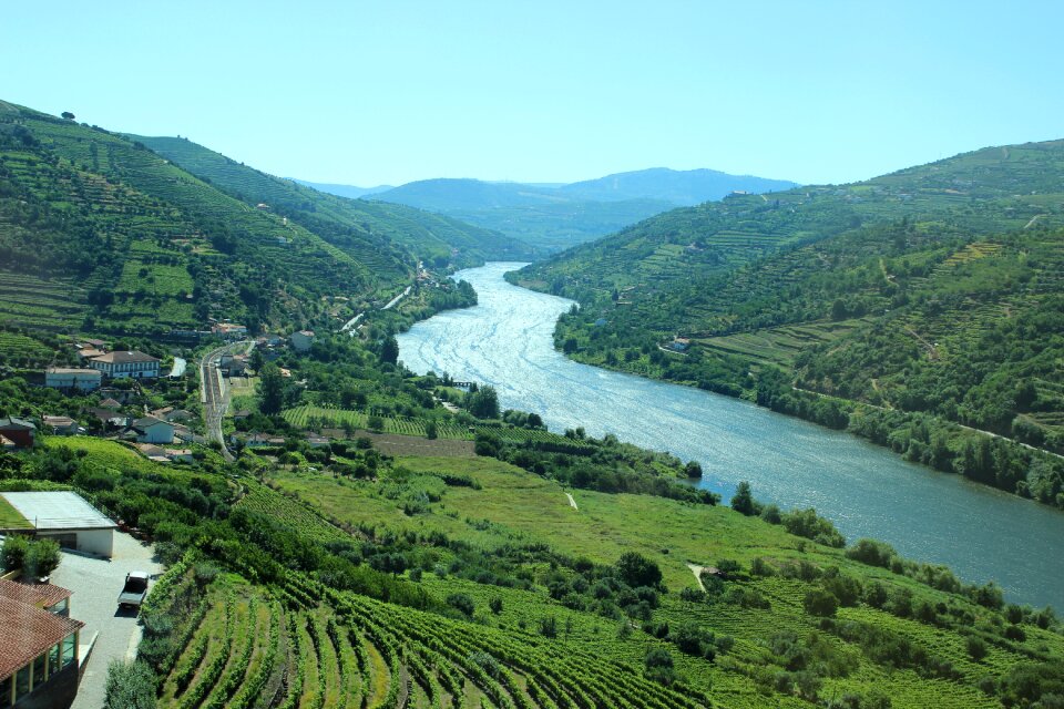 Overlook areas vineyard