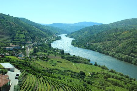 Overlook areas vineyard photo