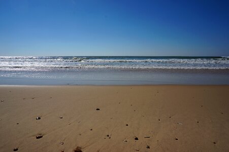 Nature waves winter