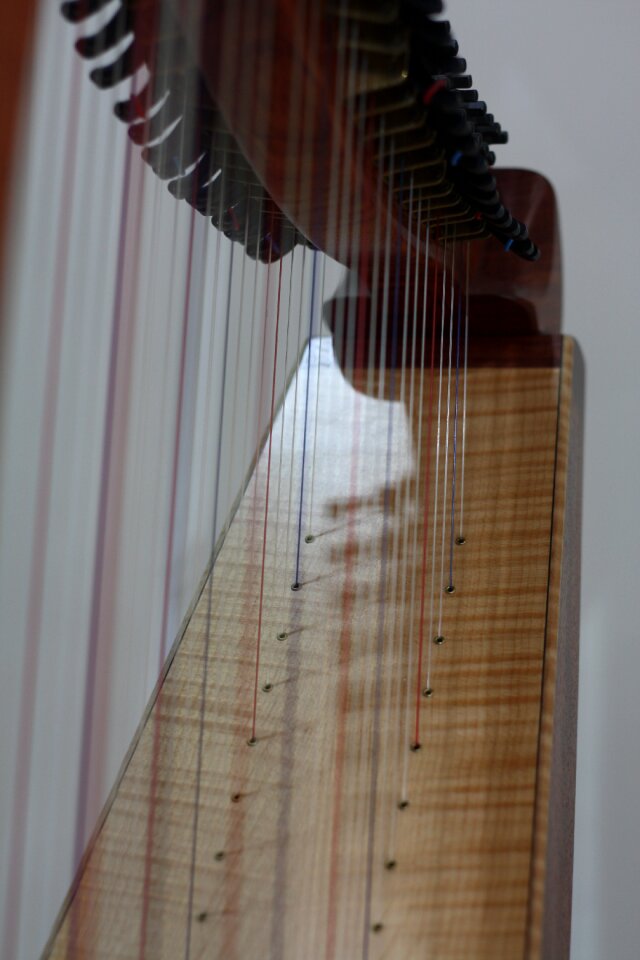 Musical instrument music instruments