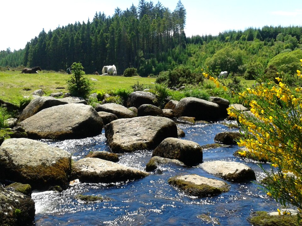Outdoors english countryside dartmoor