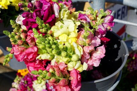 Yellow pink bouquet photo