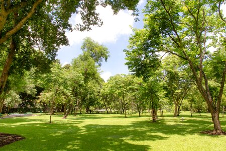 Ya japan park nature