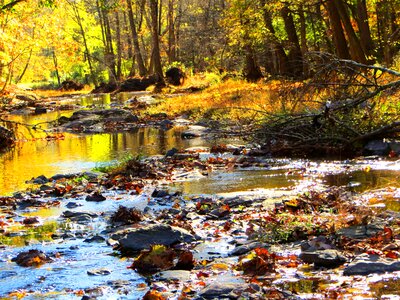 Peaceful remote serene photo