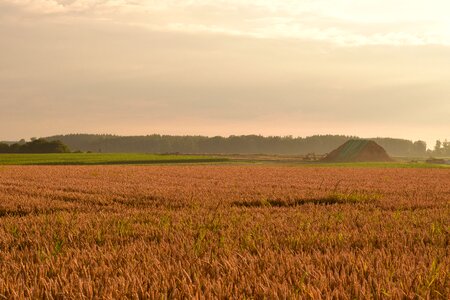 Haze landscape light