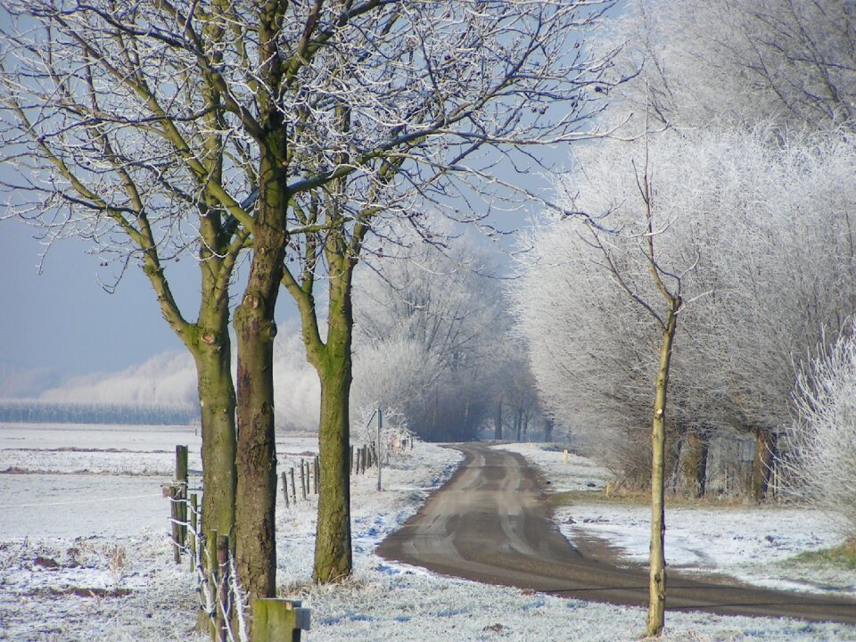 Freezing white frozen