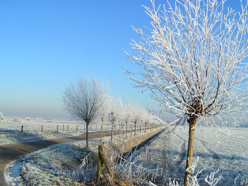 Landscape freezing frozen