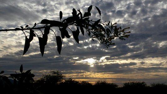 Sky outdoors gray