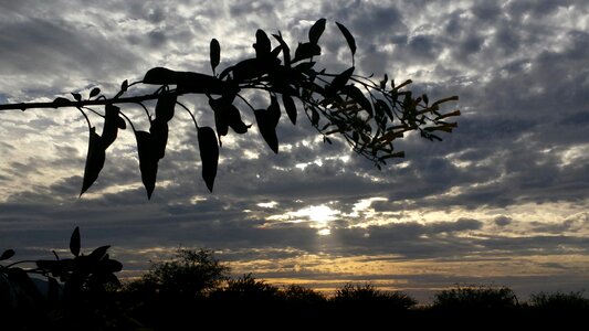 Sky outdoors gray photo