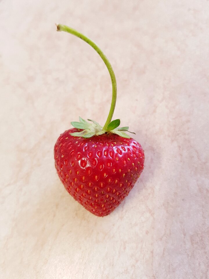 Food fruit fresh