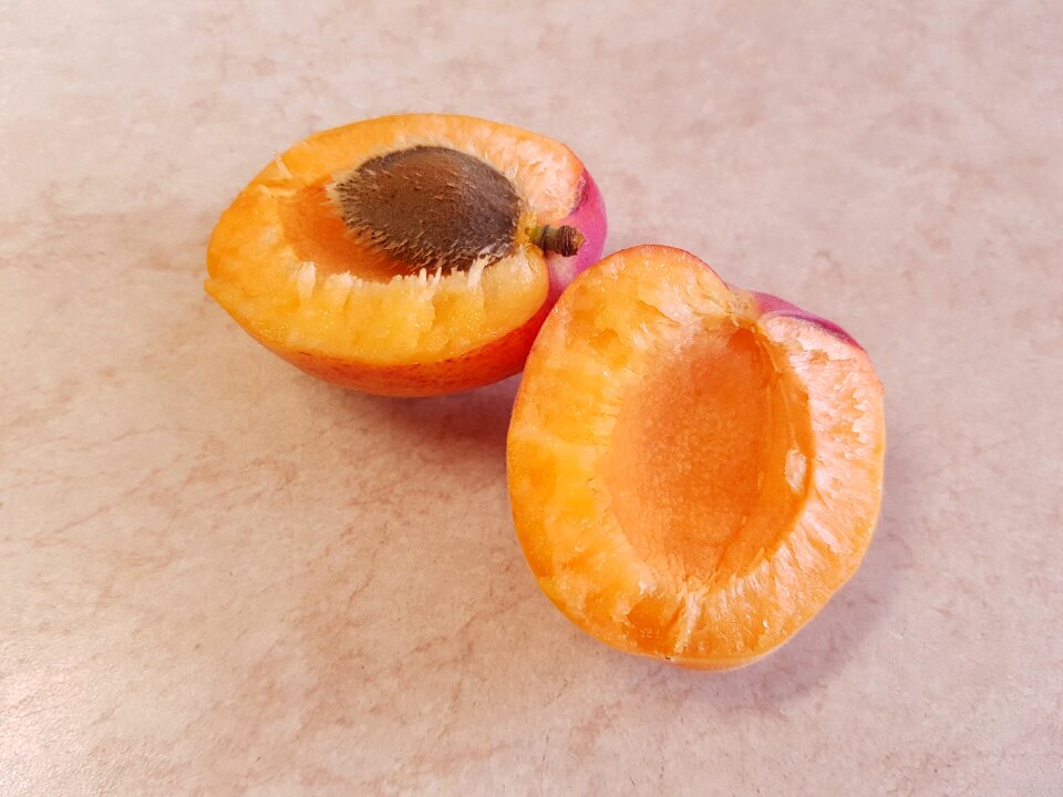 Close-up food healthy