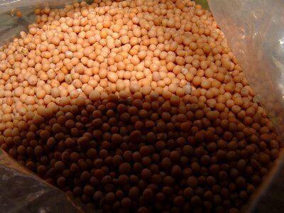 Food natural condiment