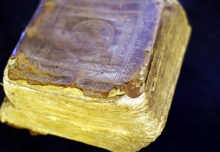 The manuscript old book read