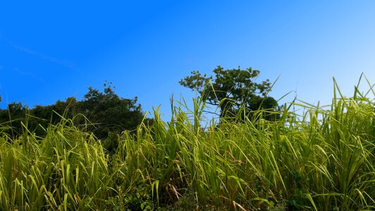 Blue sky nature