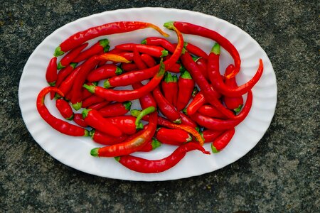 Hot spicy healthy photo