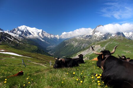 Migration trekking mountain photo