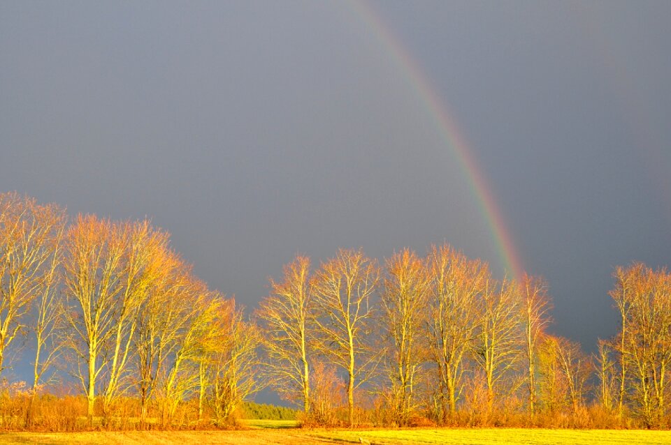 Mood weather landscape