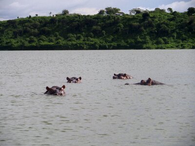 River safari photo