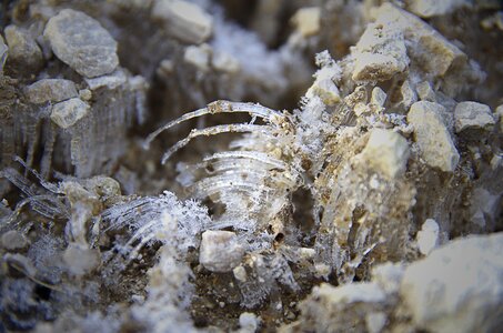 Rocks macro