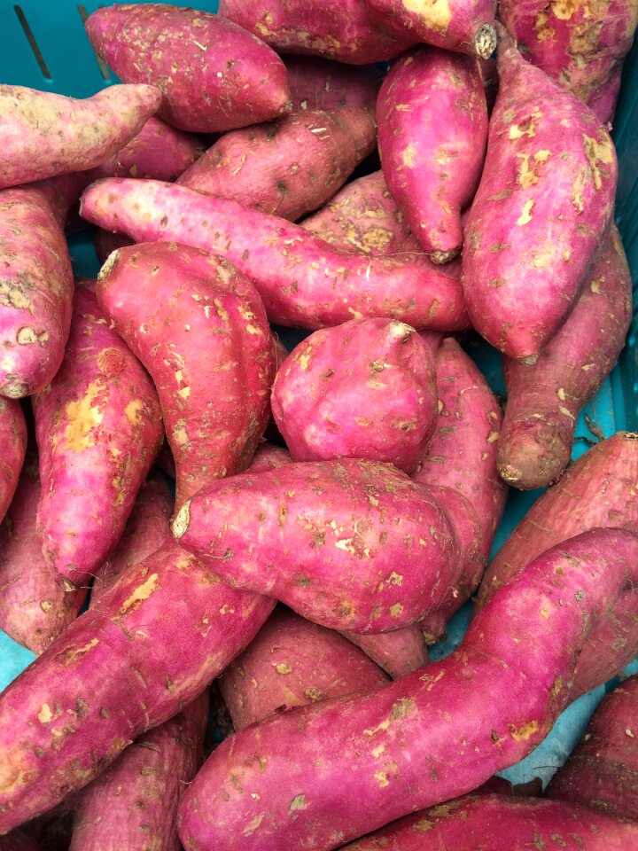 Market holland food