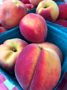 Fruit fresh healthy
