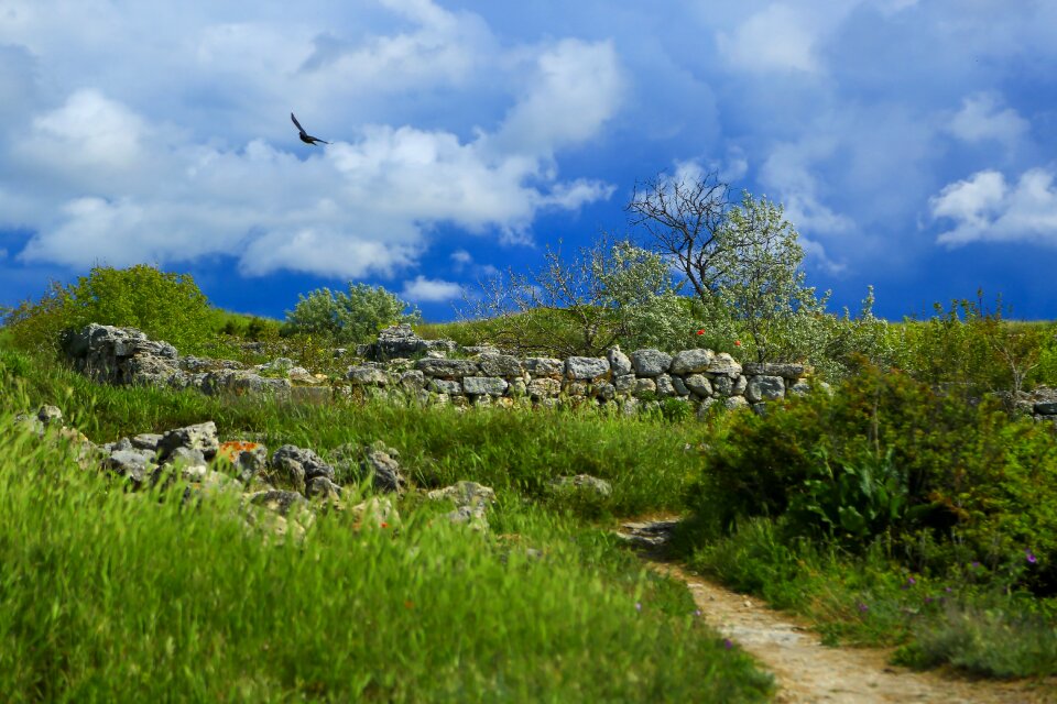 Clouds summer stone photo