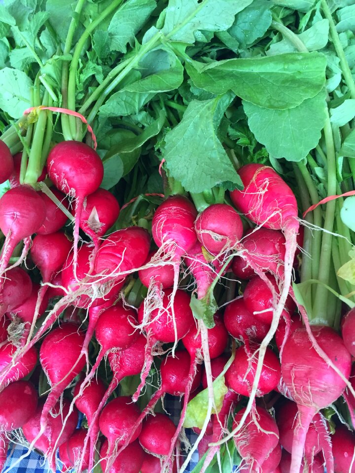Eat plant seasonal