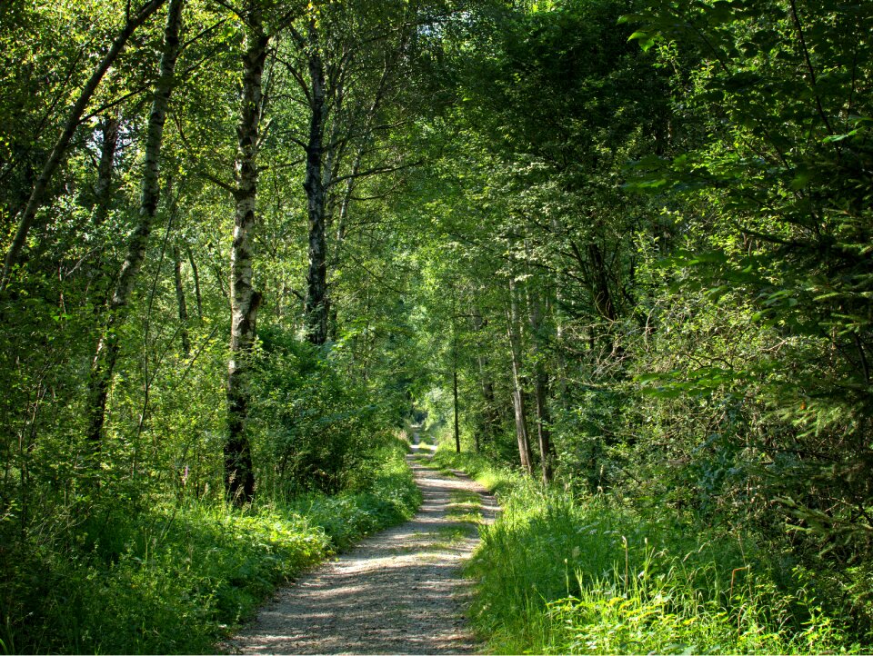 Nature walk hiking
