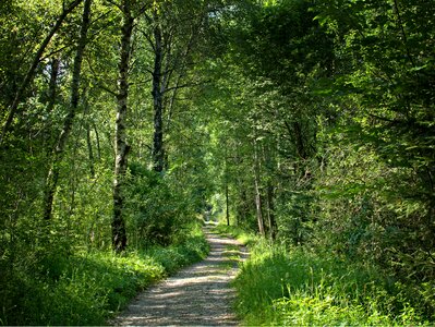 Nature walk hiking