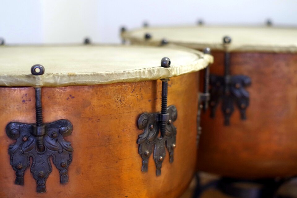 Antique skin music