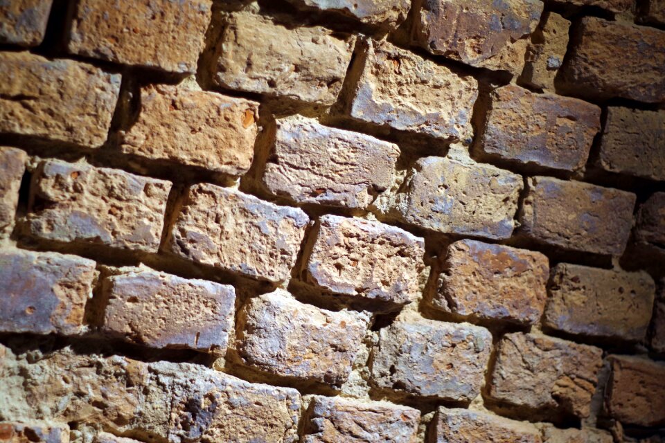 Brick vaulted ceiling the wine cellar