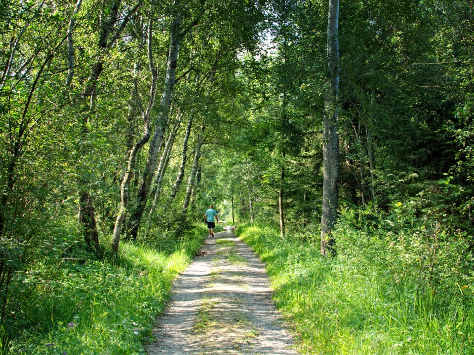 Human nature walk