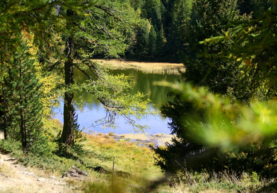 Landscape alpine autumn