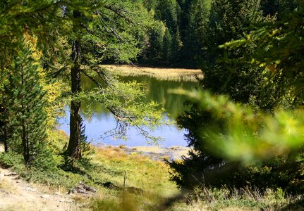 Landscape alpine autumn photo