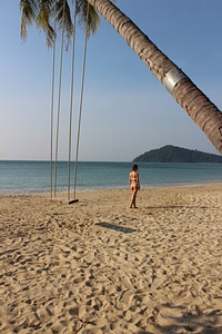 Beach girl bikini photo