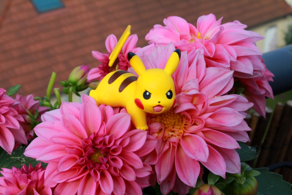Pikachu derivatives japan