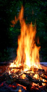 Burning wood burn wood photo
