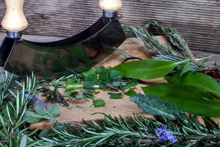 Cutting board herb rocker culinary herbs photo