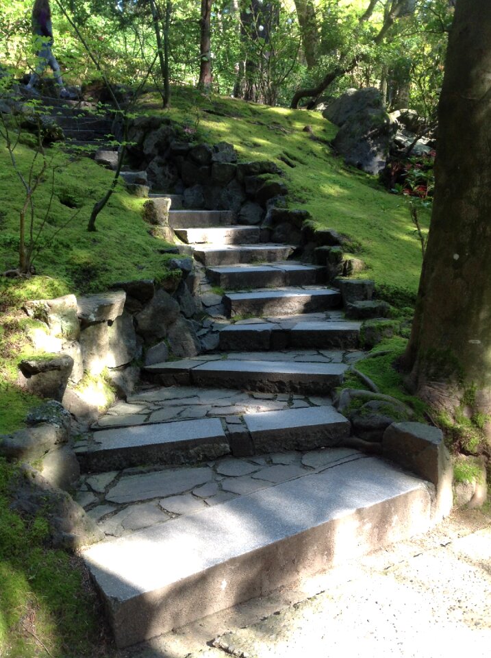 Path portland japanese garden