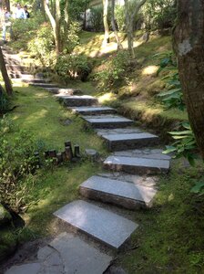 Path botanical oregon