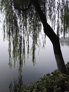 Hangzhou west lake the scenery photo