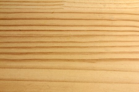 Hardwood pattern bark
