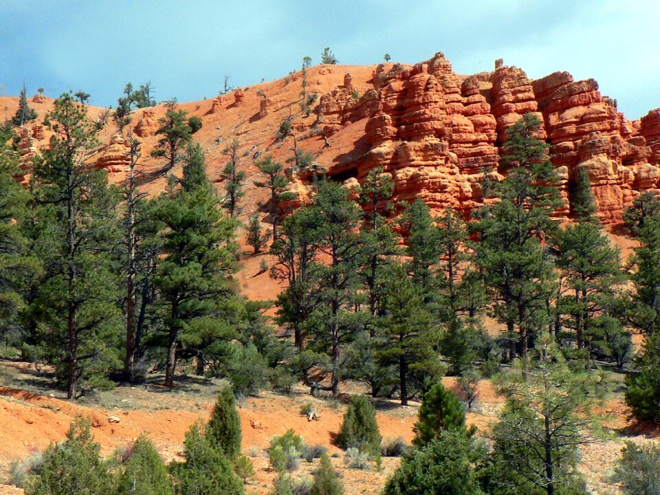 National park panorama tourist site