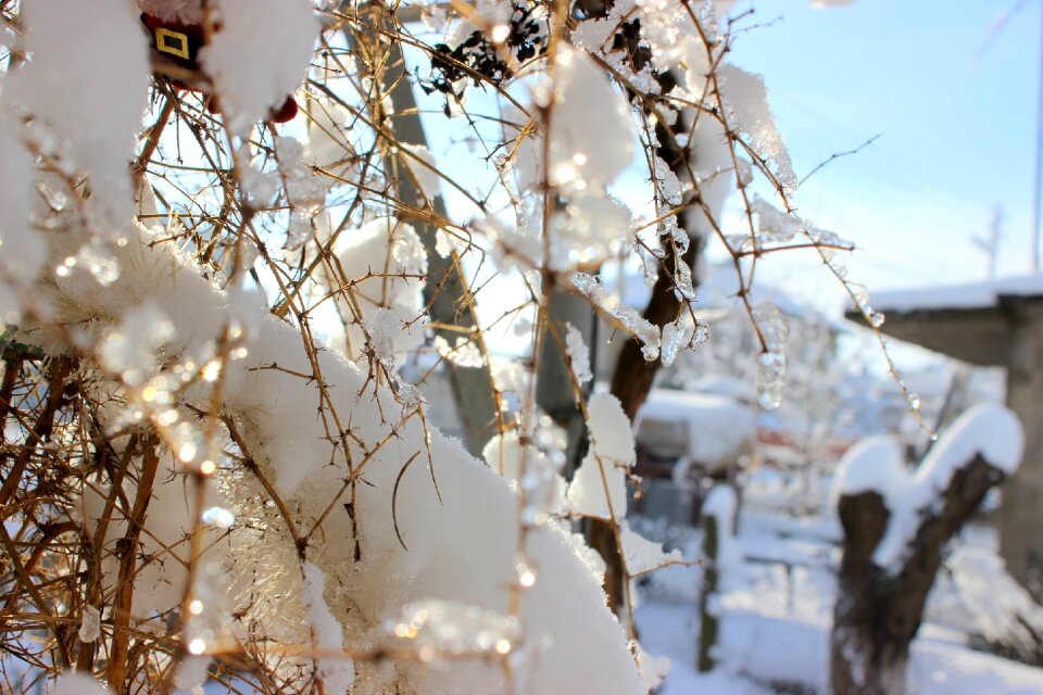 Nature season ice