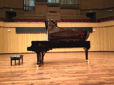 Changsha concert hall stage steinway piano photo