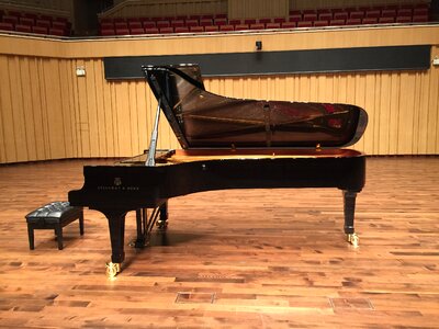 Changsha concert hall stage steinway piano photo