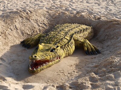 Sand sculpture beach crocodile sand photo