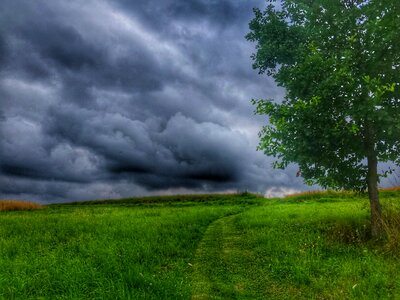 Landscape green grass