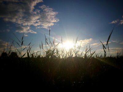 Meadow clouds view photo